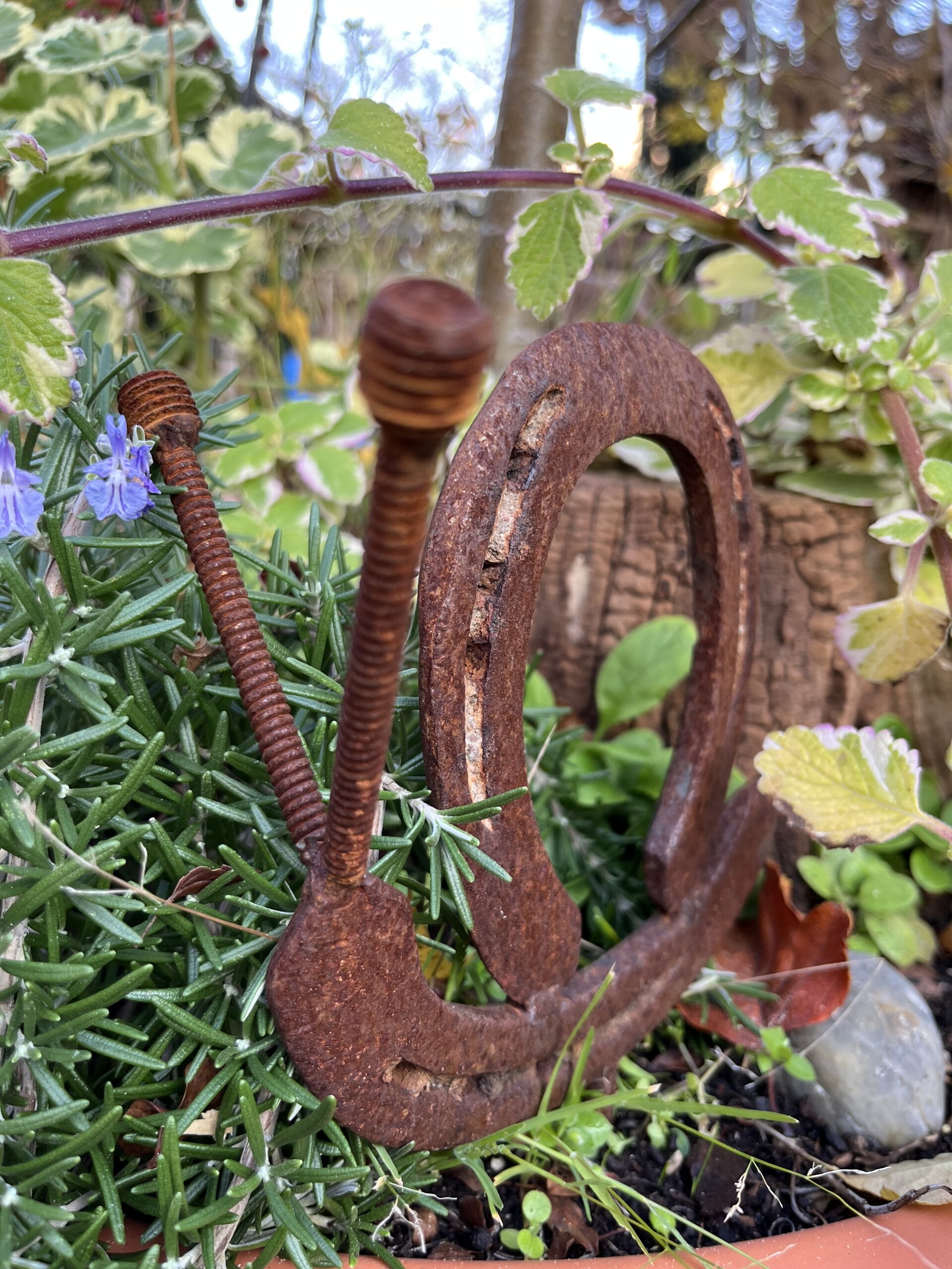 Schnecke aus echten, getragenen Hufeisen