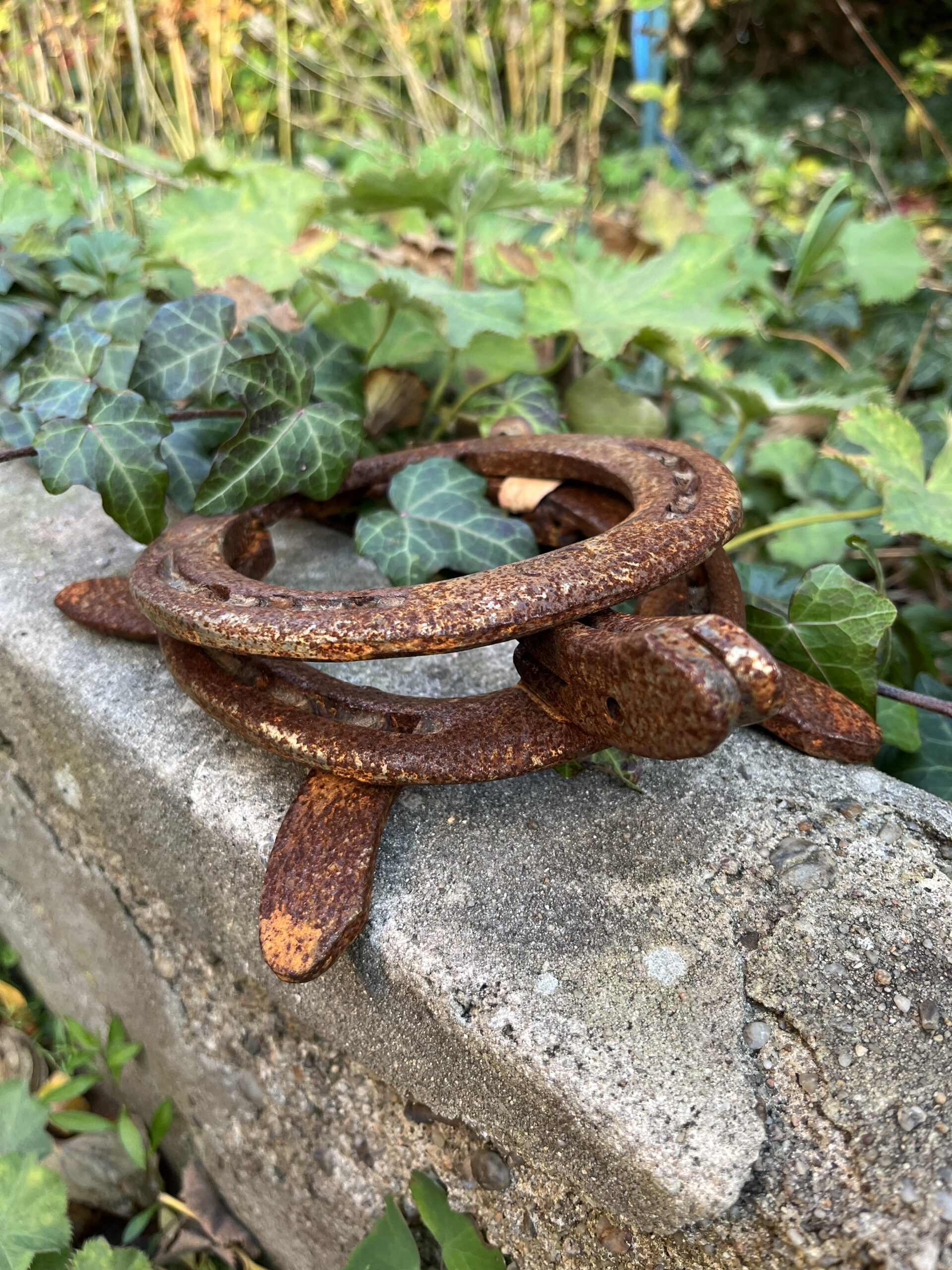 Schildkröte aus getragenen Hufeisen – Bild 7