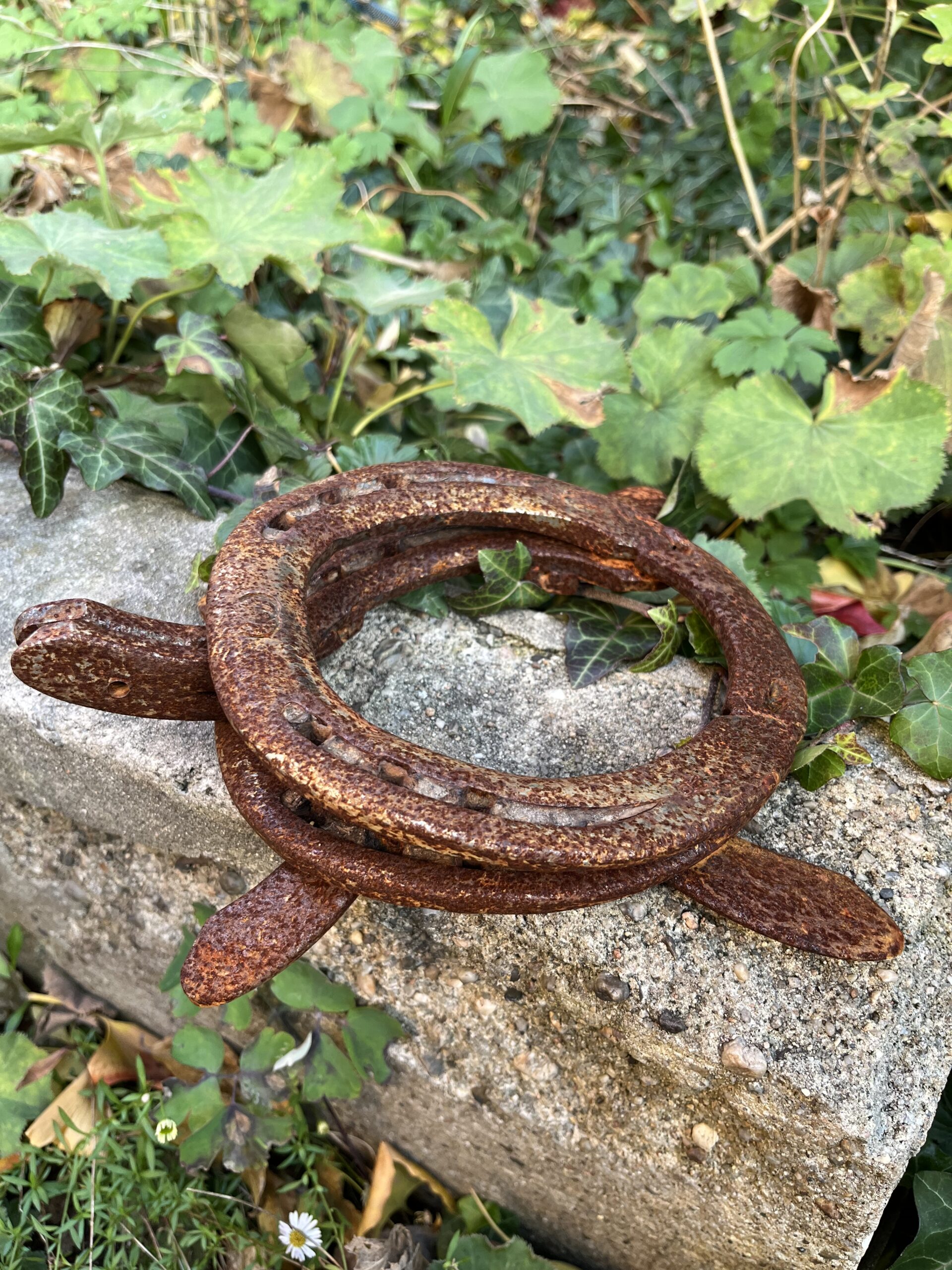 Schildkröte aus getragenen Hufeisen – Bild 8