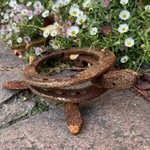 IMG_7122 Schildkröte aus getragenen Hufeisen