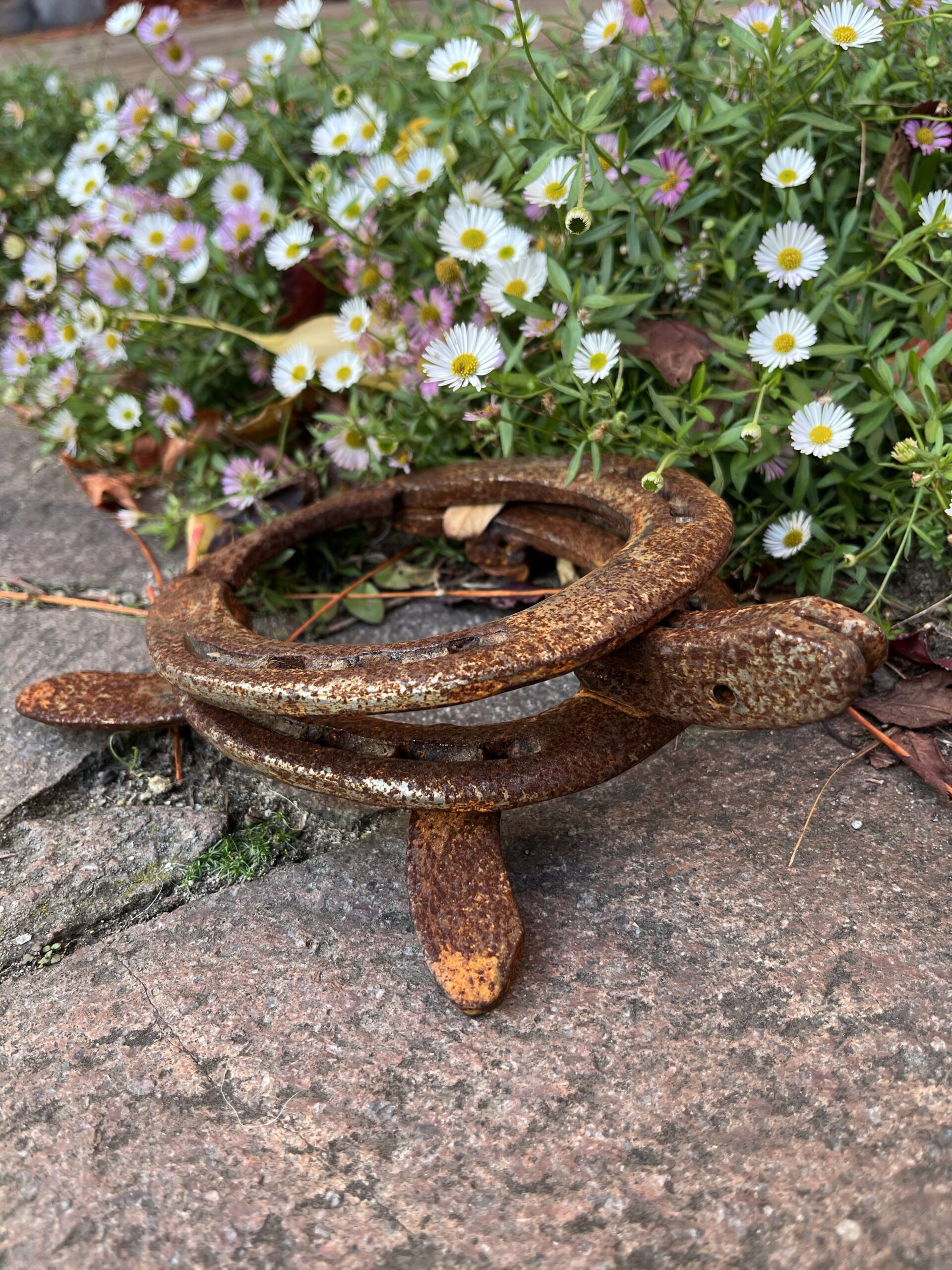 Schildkröte aus getragenen Hufeisen