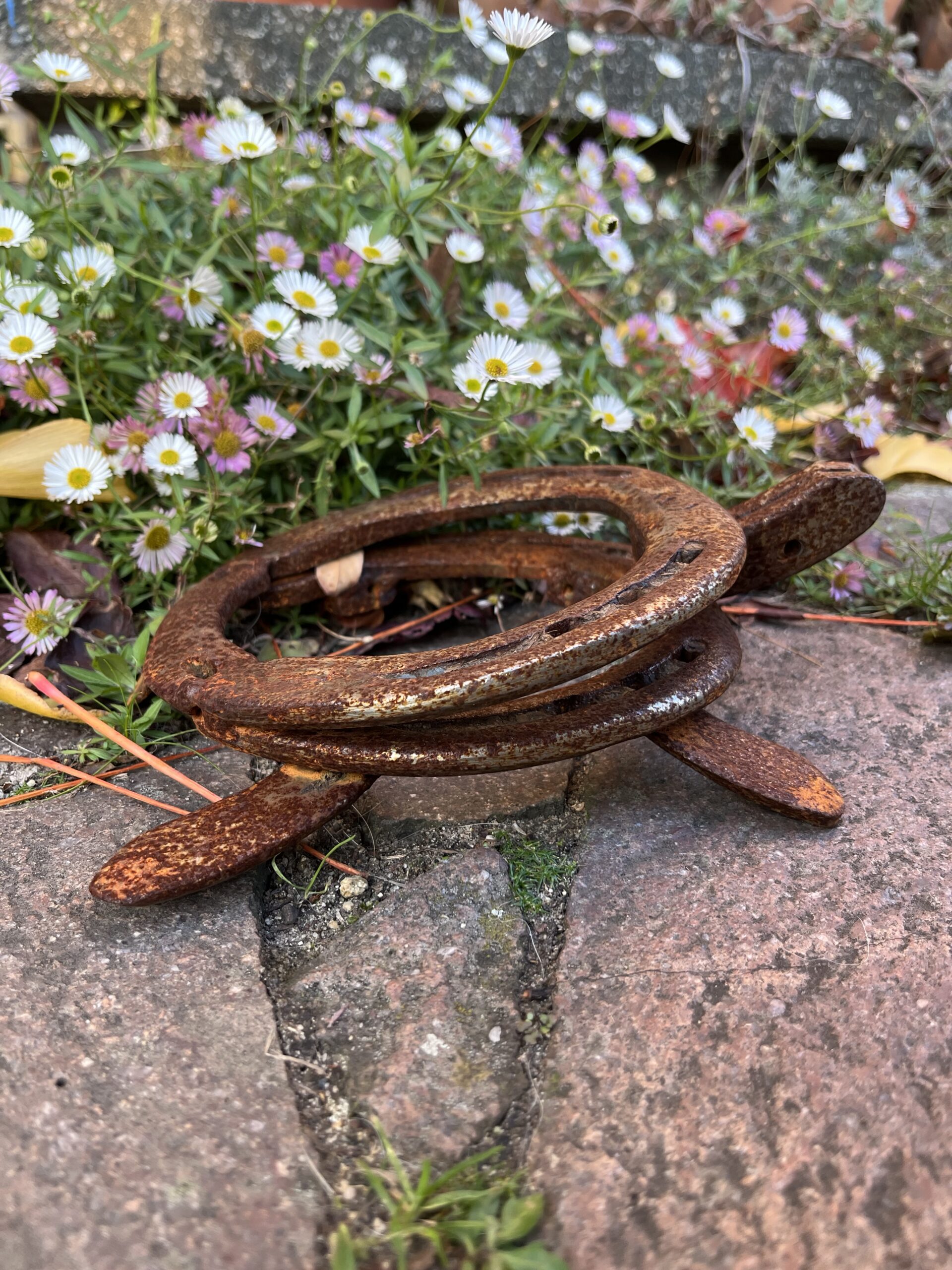 Schildkröte aus getragenen Hufeisen – Bild 6