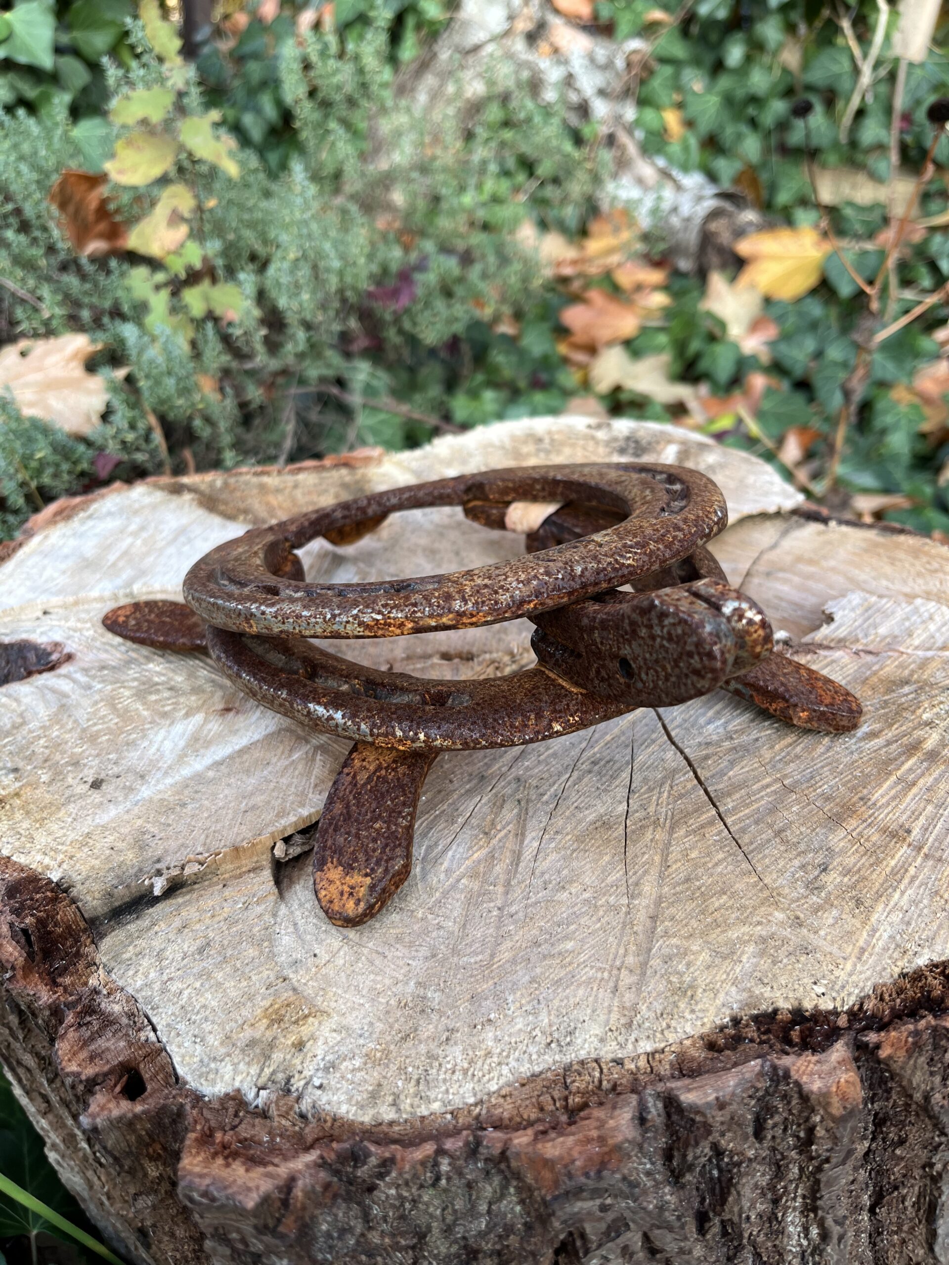 Schildkröte aus getragenen Hufeisen – Bild 5