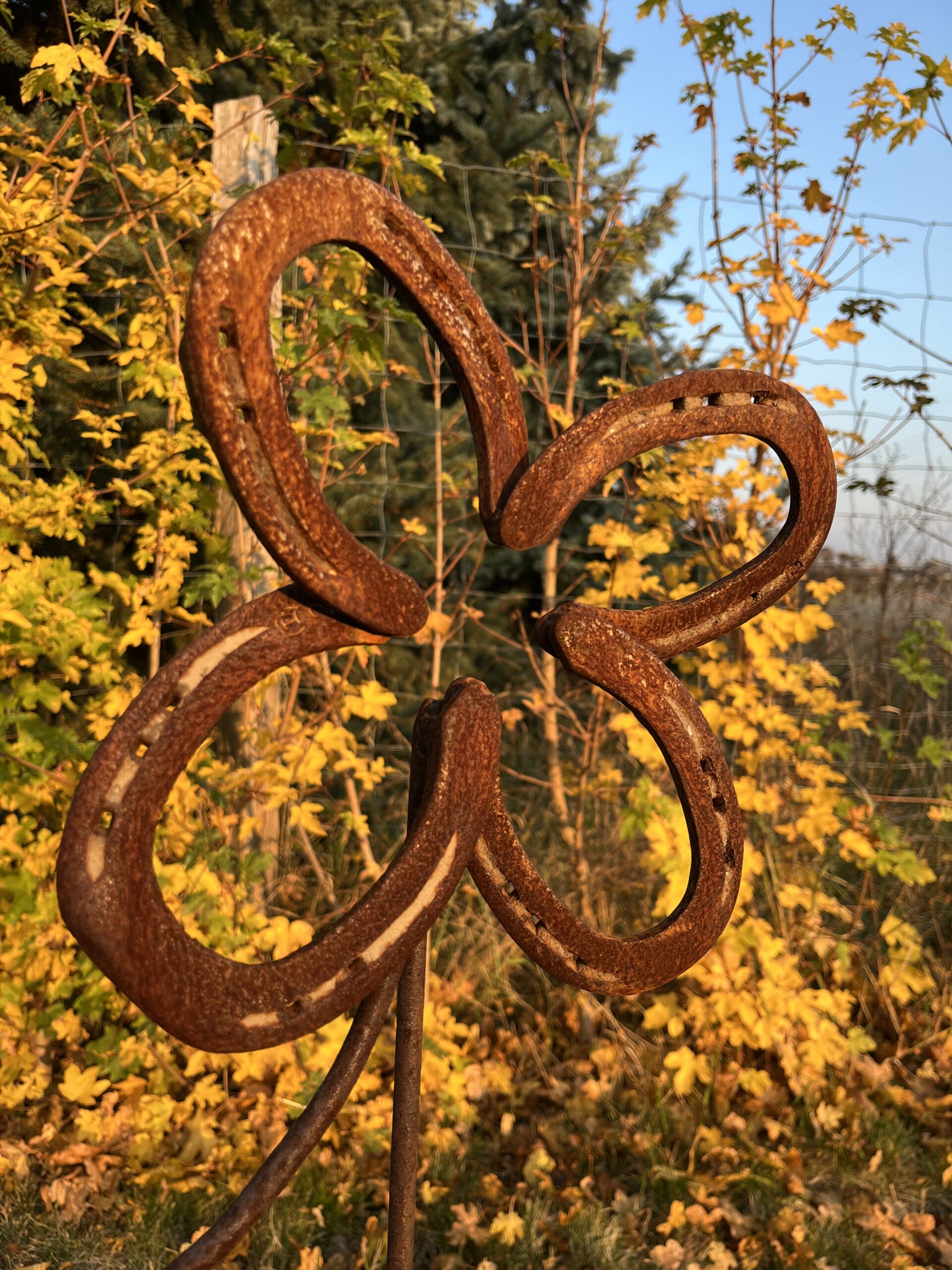 Kleeblatt aus getragenen Hufeisen – Bild 6